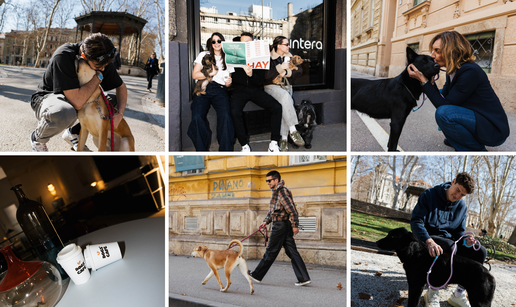 Pop up 'Dogs cafe' u Zagrebu! Izvedite ljubimca na puppuccino