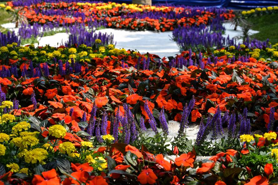 Floraart: Sadnice cvijeća od 2 kune, a za 25 mini vrt u posudi