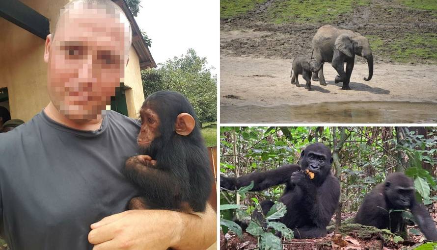 Čuvar džungle: Branim gorile i lavove od opakih krijumčara