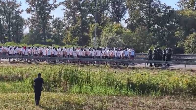 VIDEO Isparila im hrabrost: Pogledajte huligane s A1 kad je pred njih krenula policija