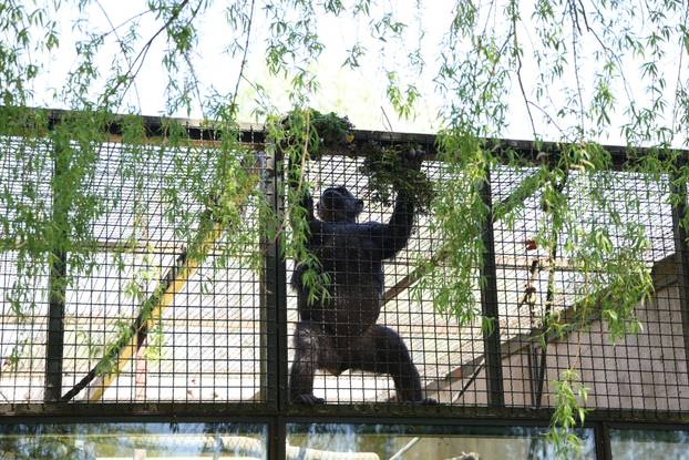 Osijek: Uskršnji ponedeljak u ZOO vrtu