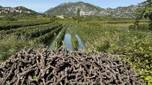 Vrgorac: Posljedice obilnih kiša na području općine Pojezere