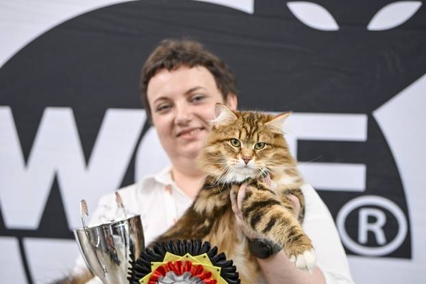 Zagreb: Međunarodna izložba mačaka WCF Cat Olimpia 2025
