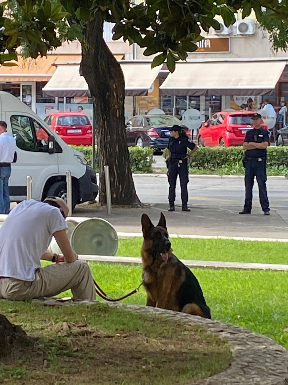 Sergej Trifunović fulao zgradu suda, dobio 60 dana zatvora uvjetno, policija ga je odvela