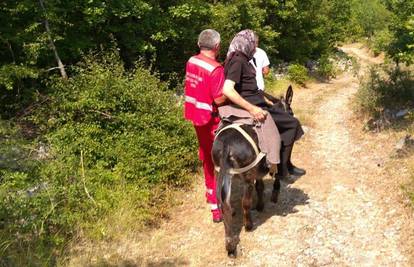 Baki je pozlilo od vrućine: Do vozila Hitne nosio ju - magarac