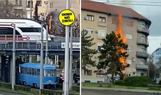 BIZARNA SNIMKA Tramvaji i auti prolaze, usred Zagreba gori bor!
