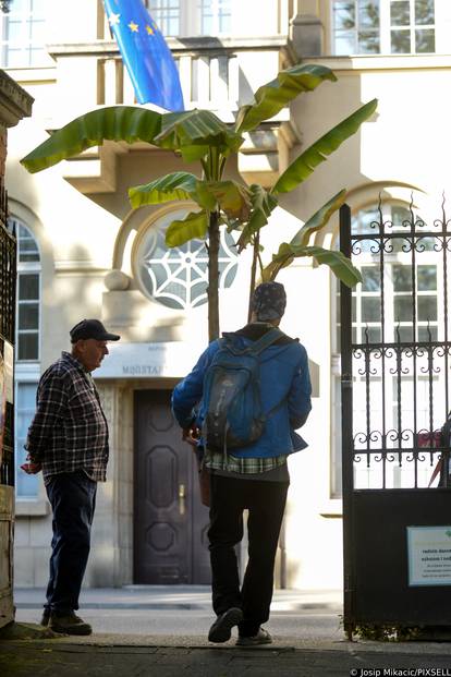 FOTO Rasprodaja u Botaničkom vrtu oduševila Zagrepčane