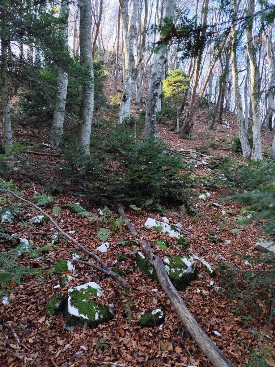 Laserima otkrili svetu stijenu Praprigoraca: 'Pečovje je, kažu ljudi, najljepši dio Medvednice'