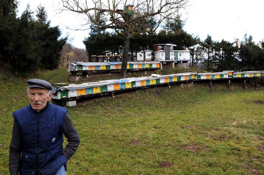 Pčele u veš-mašini: Slavonski pčelar radi jedinstvene košnice