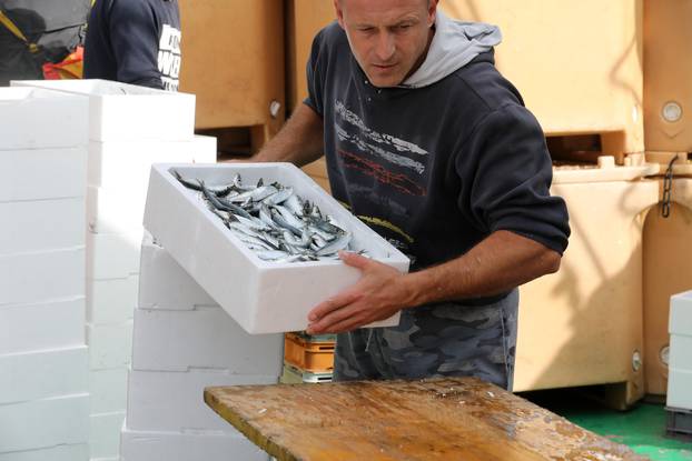 Rijeka: Ribari iskrcavaju ribu nakon ribolova u Kvarnerskom zaljevu