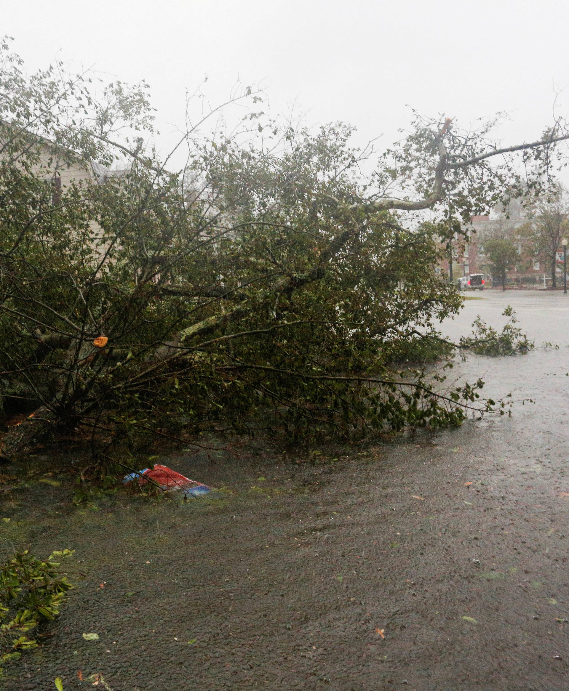 A downed tree blocks a local street during the passing of Hurricane Florence the town of New Bern