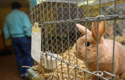 Švicarska će prva zabraniti testiranje na životinjama?