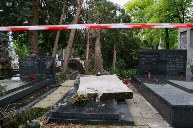 U oluji porušena stabla na Mirogoju napravila su veliku štetu