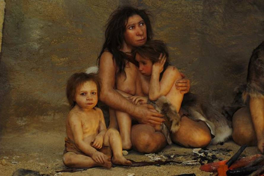 Anđelko Suhodolčan