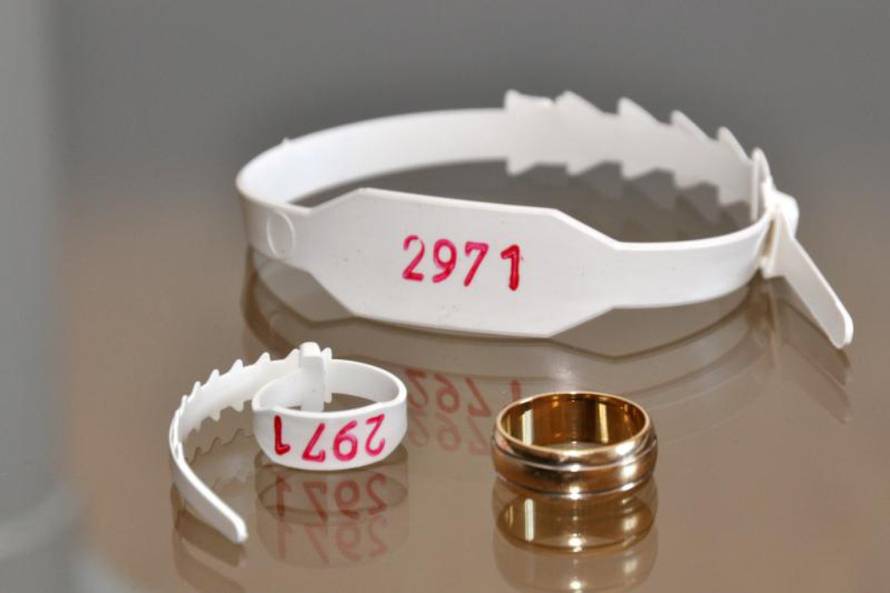 Duško Marušić/Pixsell