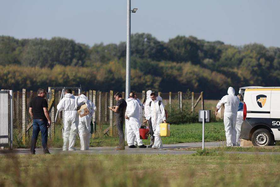 Sokolovac: Kreće eutanazija svinja, uvode se novi sigurnosni protokoli