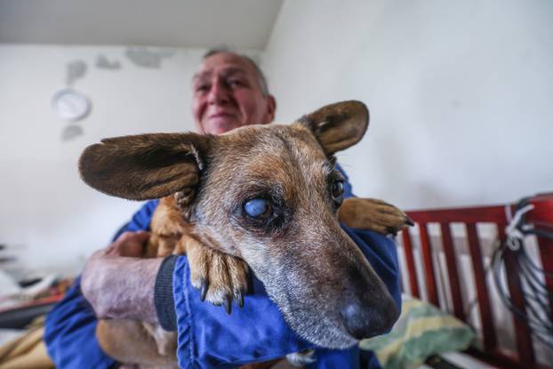 24SATA Zagreb: Ivica Penić i pas Bobi