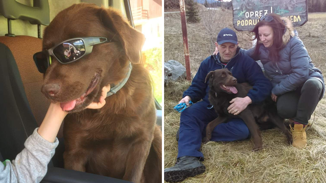Čuvar sela u Gorskom kotaru: Naš pas Oskar je neustrašiv! Ugrizao je medu za stražnjicu