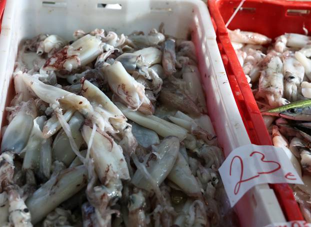 Šibenik: Ponuda ribe na ribarnici