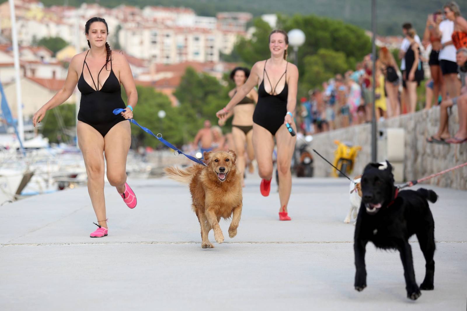 U crikvenici je odrÅ¾ano plivaÄko natjecanje pasa i njihovih vlasnika