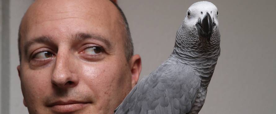 Hugov vlasnik: 'Njemu korona ne pada teško, uči nove riječi'