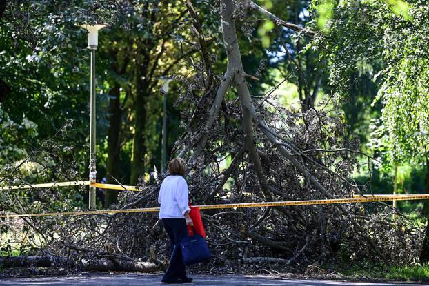 Olujno nevrijeme uništilo Park mladenaca u Zagrebu, srušena stabla još nisu uklonjena