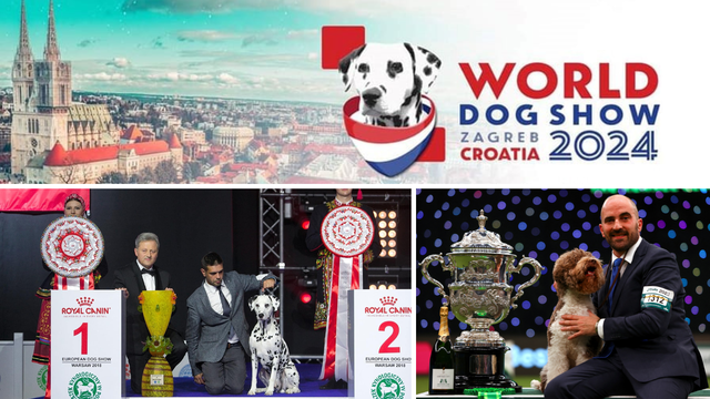 Hrvatska će sljedeće godine biti domaćin Svjetske izložbe pasa!