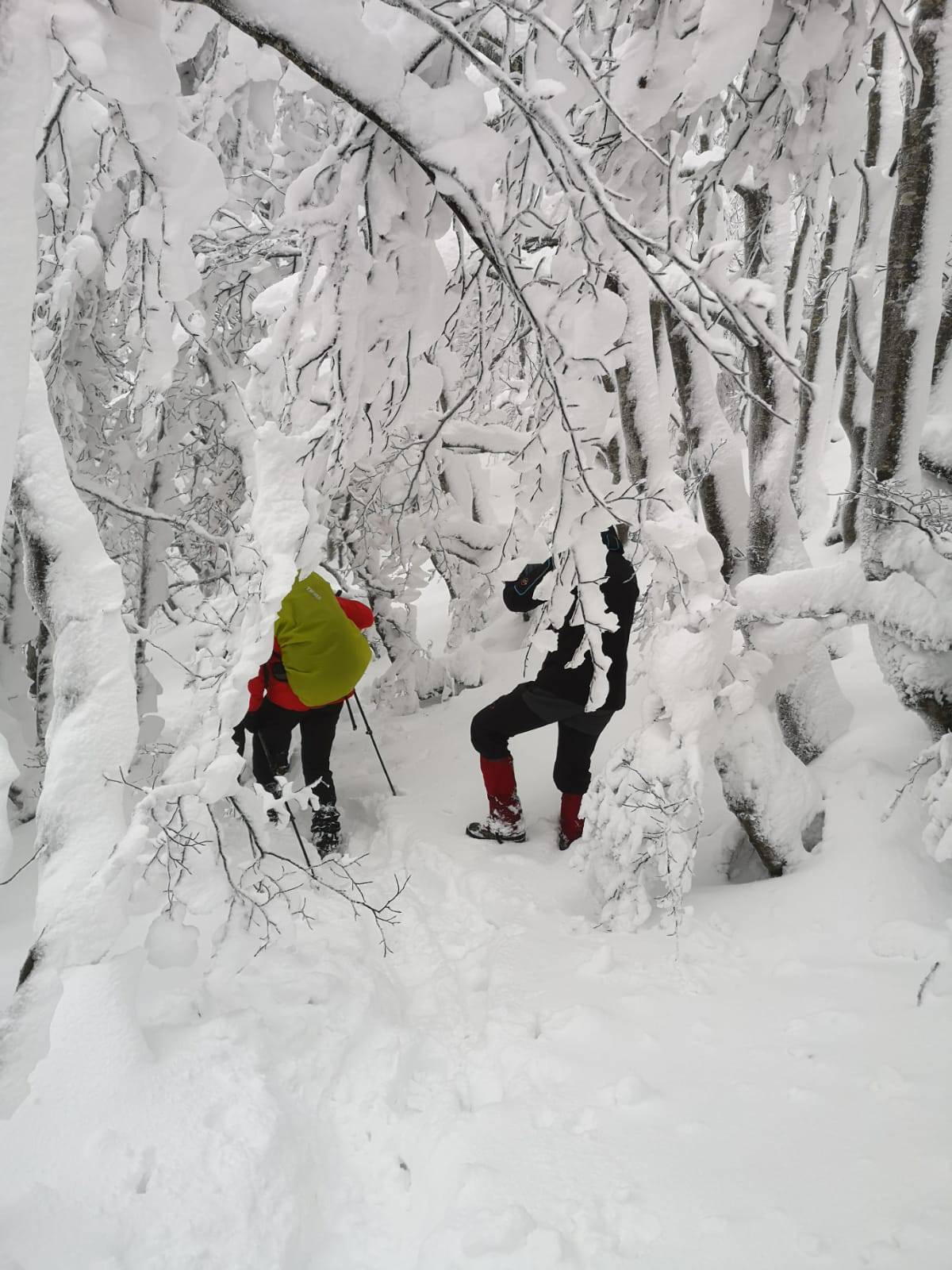 Planinari se izgubili u snježnoj mećavi, spašavao ih je HGSS