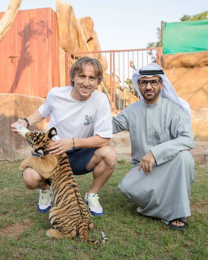 FOTO Luka Modrić uživa na odmoru u Dubaiju: Hranio je tigra i pozirao s pitonom...