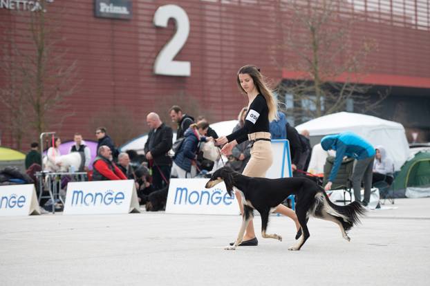 U Zaprešiću održana CAC nacionalna izložba pasa
