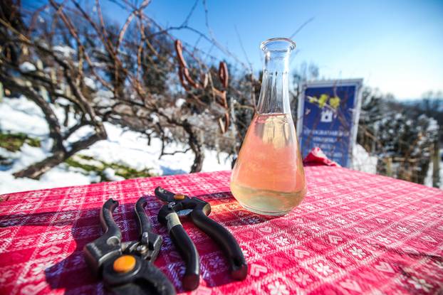 U Kašinskoj Sopnici održana ceremonija kićenja, zalijevanja i rezanja trsa povodom blagdana sv. Vinka