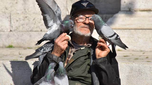 Pulski ljubitelj životinja hrani golubove na praznom Forumu