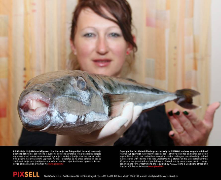 Duško Jaramaz/Pixell