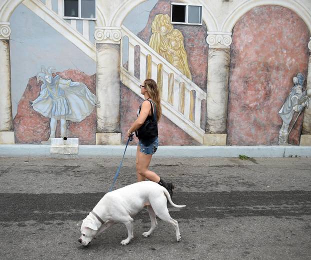 MMA snagatorica i UFC legenda se vraća nakon devet godina?!