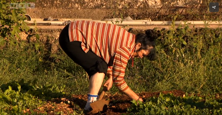 Ljubo poludio na Violetu: Sve si mandarine pojela, glavo luda!