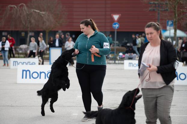 U Zaprešiću održana CAC nacionalna izložba pasa