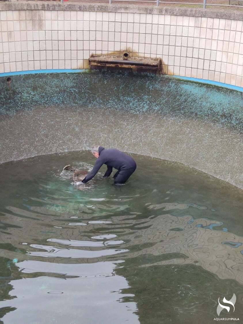 Progutao omot od sladoleda i narukvicu: 'Bojimo se da Luka Amadeo ima još plastike u sebi'