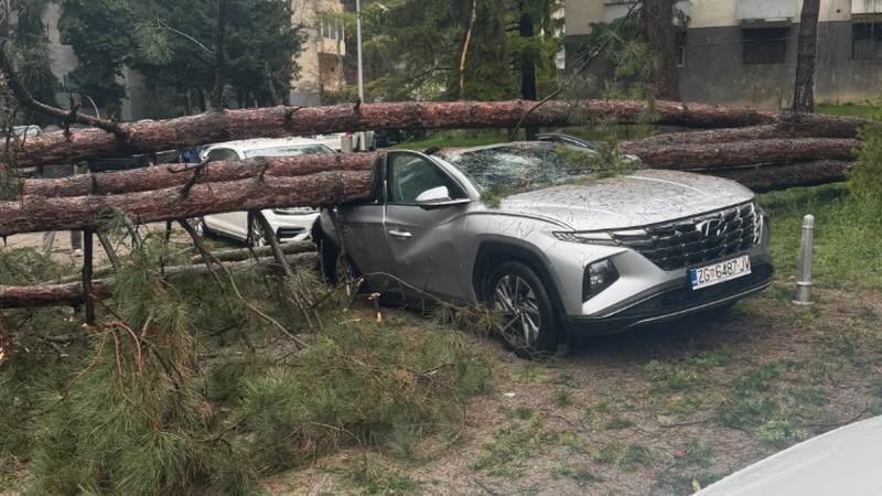 VIDEO Kaos u Zagrebu: 'Stablo je palo i zdrobilo auto. Grane sam rezao motorkom...'