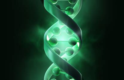 Geni su zapis predispozicije, a ne neizbježna sudbina čovjeka