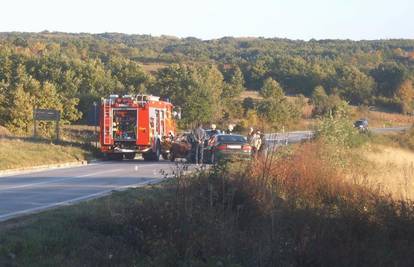 Istra: U izravnom sudaru na mjestu poginula žena 