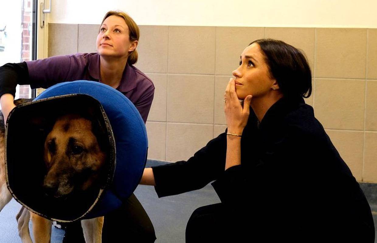 Meghan objavila nove fotke na Instagramu: 'Zasjenit će Kate'
