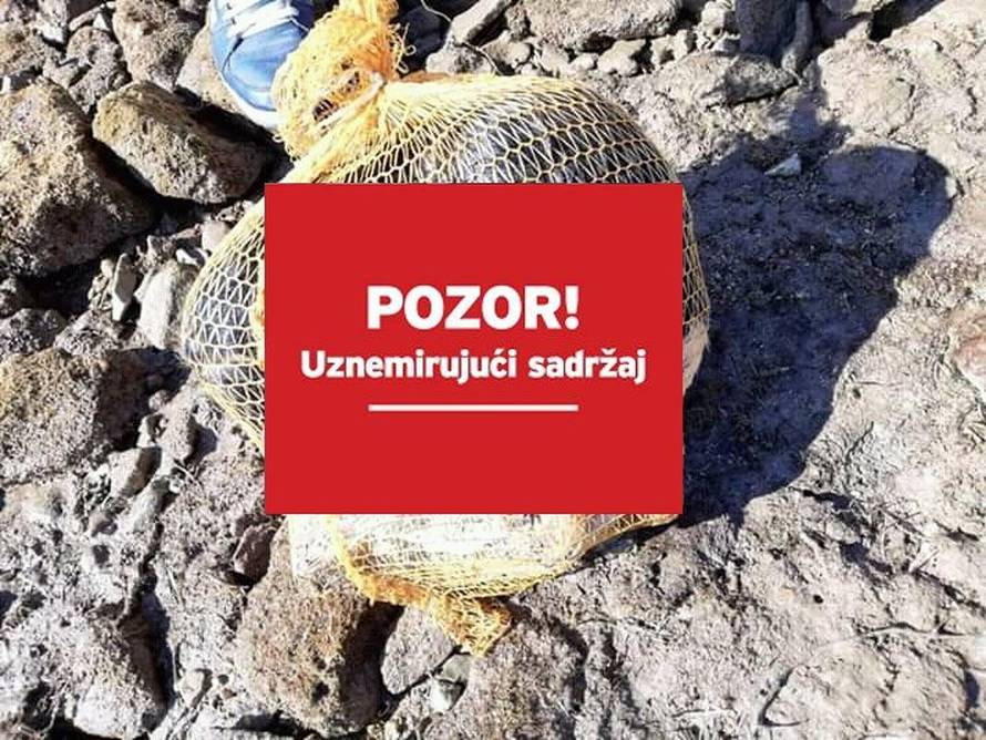 Šok na plaži kod Poreča: Našli mrtvog psića svezanog u vreći
