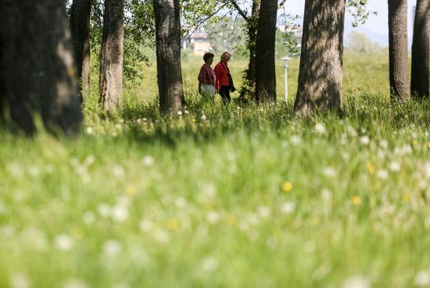 Na današnji dan obilježava se Dan planeta Zemlje