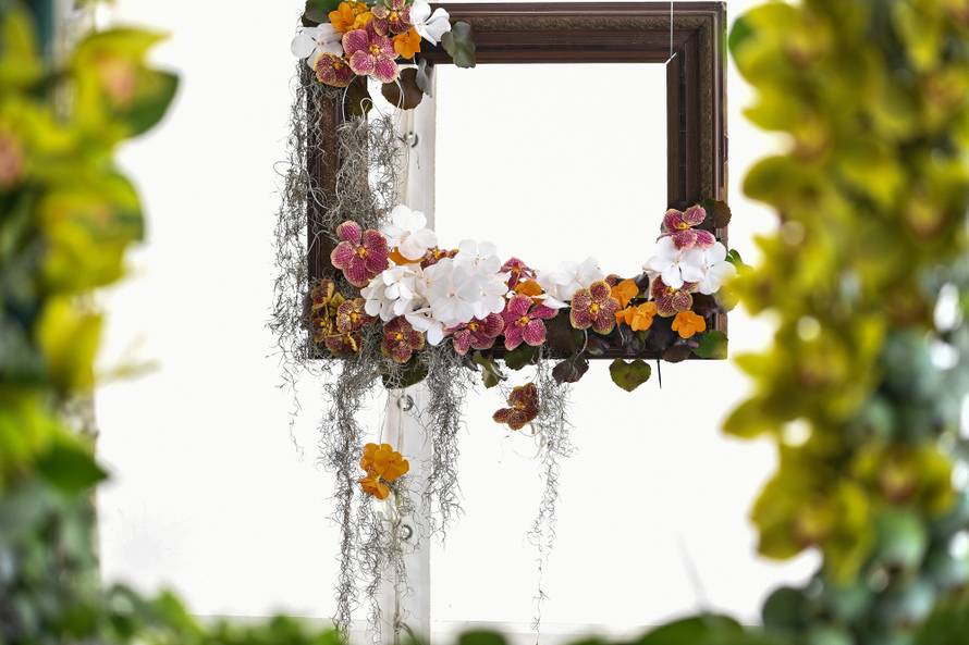 Floraart: Sadnice cvijeća od 2 kune, a za 25 mini vrt u posudi