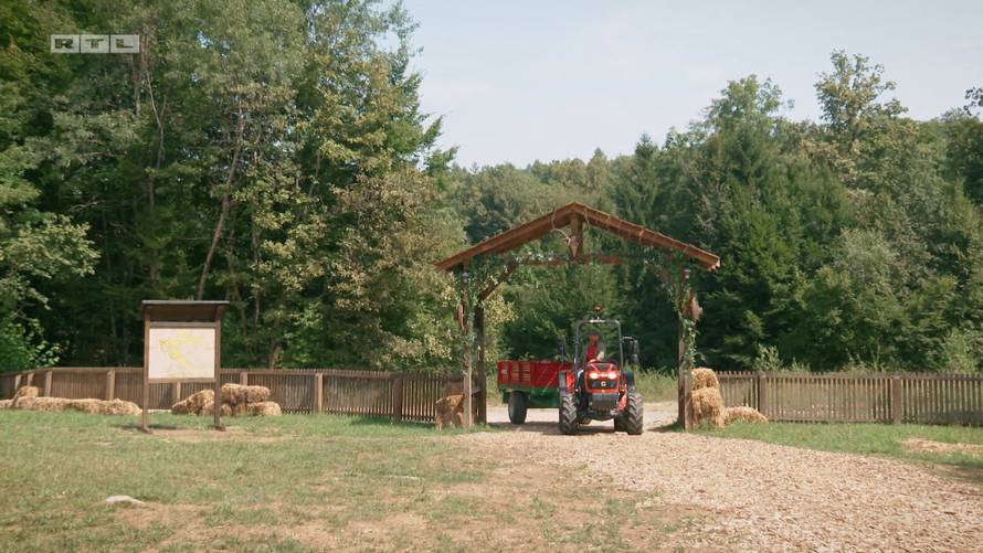 Haris je postao novi vođa na farmi! Iznenadio izborom sluga: 'Šokirana sam, baš je dvoličan'