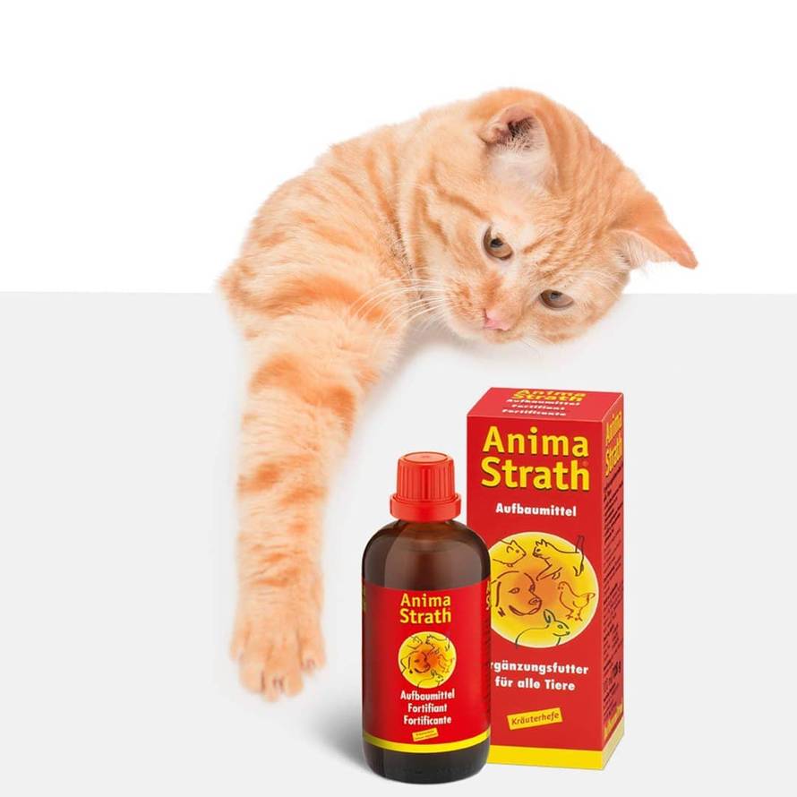 Što se dogodi kada životinja dobije sve što joj je priroda namijenila?