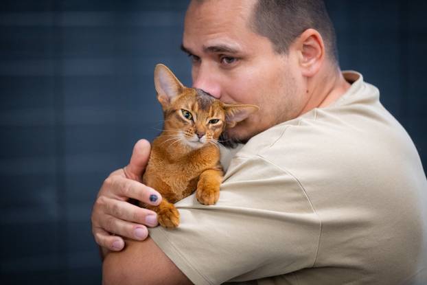 Zagreb: Drugi dan Međunarodne izložbe mačaka