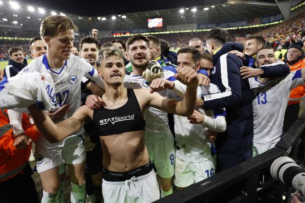 FIFA World Cup - UEFA Qualifiers - Semi Final - Wales v Bosnia and Herzegovina