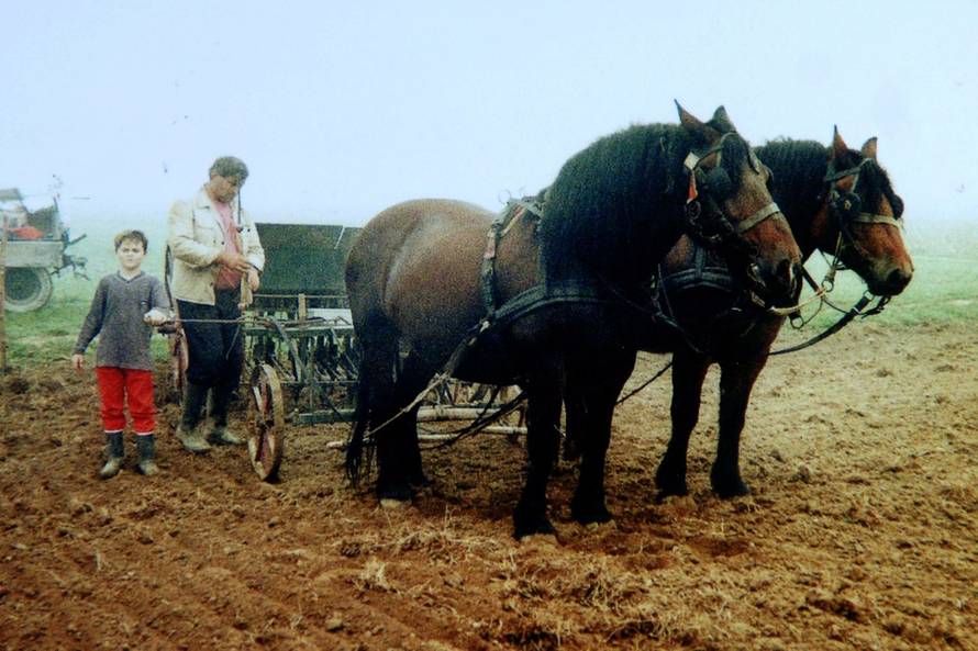 Dusko Mirkovic/PIXSELL