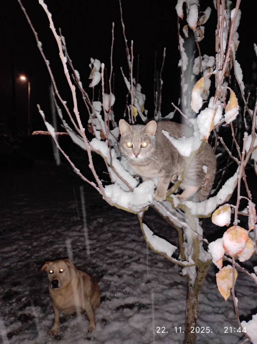 Općinska komunalka sama 'izlopatala' snijeg sa staze: 'Nema nikakve drame u tome'